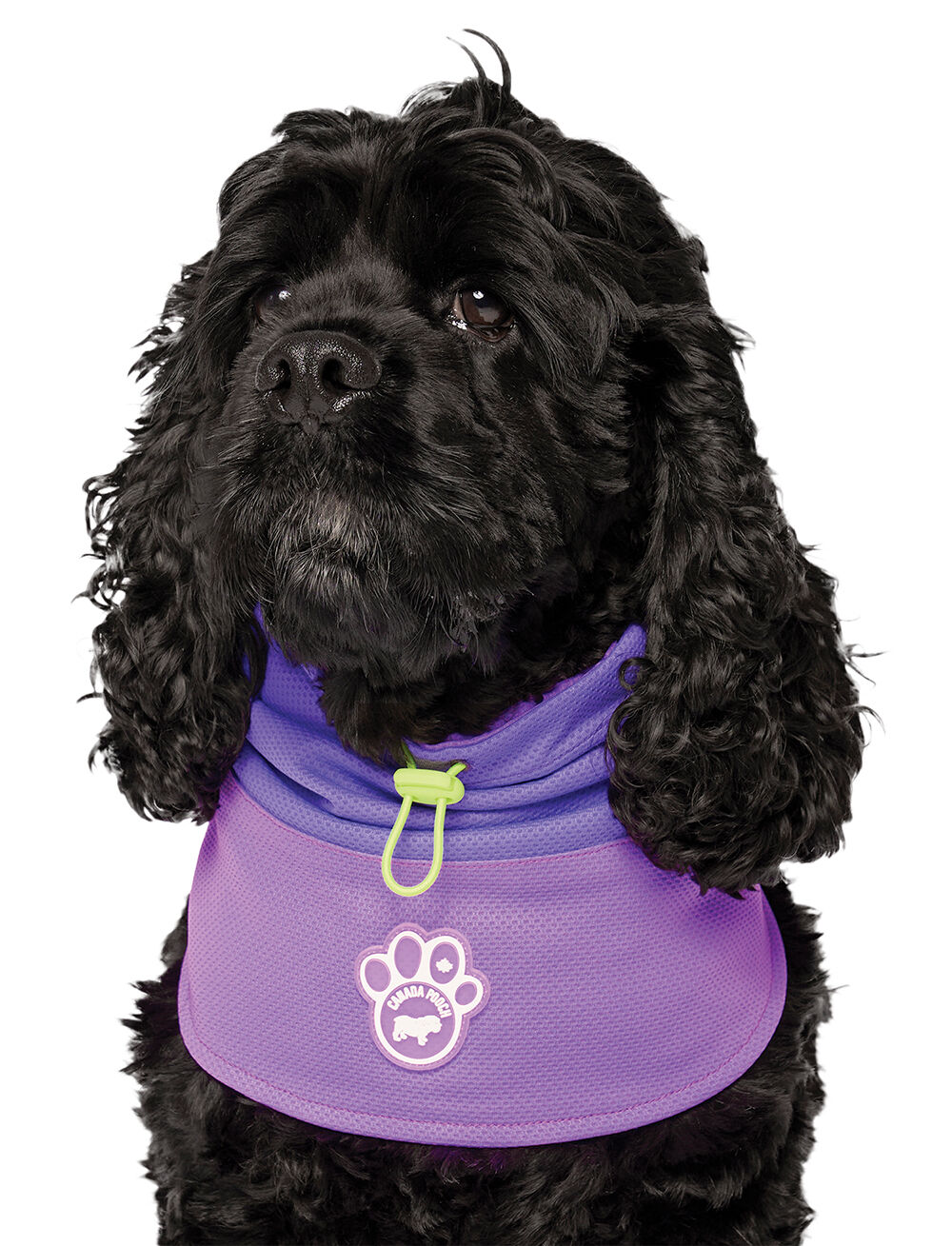 Canada Pooch, Max Chill Cooling Snood Purple - Ren's Pets